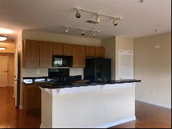 388 Boush Street Unit 309, Norfolk VA 23510