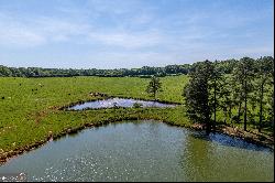 Turkey Creek Tract 2B Road, Carnesville GA 30521