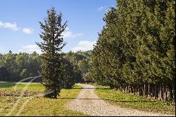 EQUESTRIAN ESTATE NEAR SAINT-REMY-DE-PROVENCE