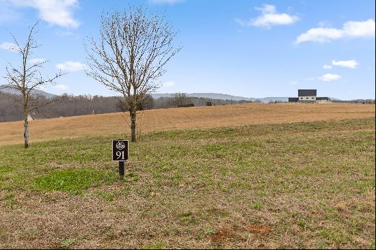 Farmview Way Drive, Dunlap TN 37327