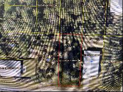 Lot 34 Hibernate Way, Freeport FL 32439