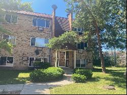 1743-45 Chariot Court, Mount Prospect IL 60056