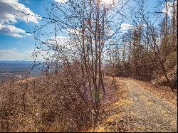 50 Acres Spring Valley Rd, Fancy Gap VA 24328