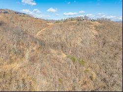 50 Acres Spring Valley Rd, Fancy Gap VA 24328