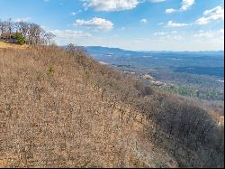 50 Acres Spring Valley Rd, Fancy Gap VA 24328