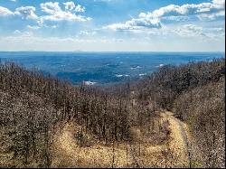 50 Acres Spring Valley Rd, Fancy Gap VA 24328