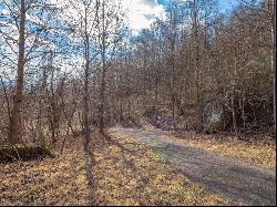 50 Acres Spring Valley Rd, Fancy Gap VA 24328