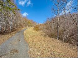 50 Acres Spring Valley Rd, Fancy Gap VA 24328