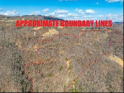 50 Acres Spring Valley Rd, Fancy Gap VA 24328