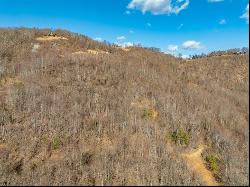 50 Acres Spring Valley Rd, Fancy Gap VA 24328