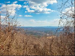 50 Acres Spring Valley Rd, Fancy Gap VA 24328