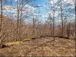 50 Acres Spring Valley Rd, Fancy Gap VA 24328