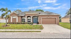 6987 Heatherbrook Drive, Lakeland FL 33809