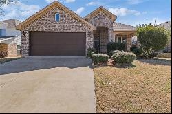 4225 Summersweet Lane, Fort Worth TX 76036