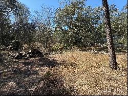 Lot 8 Marsh Drive, Freeport FL 32439