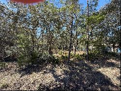 Lot 8 Marsh Drive, Freeport FL 32439