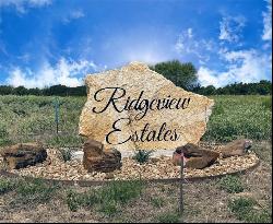 6674 Ridgeview Estates Lane, Bryan TX 77808