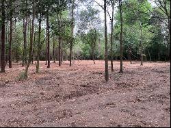 Kinsey/Dunn Road - 46 Acres, Dothan AL 36303