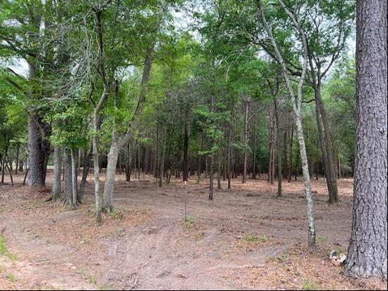 Kinsey/Dunn Road - 46 Acres, Dothan AL 36303