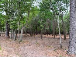 Kinsey/Dunn Road - 46 Acres, Dothan AL 36303