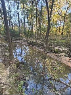 Kinsey/Dunn Road - 46 Acres, Dothan AL 36303