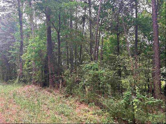 Lot 9 5+ ACRES Fm 15, Troup TX 75789