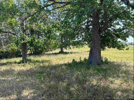 Lot 2 5.5ACRES County Road 2166, Troup TX 75789