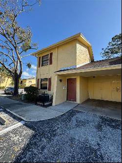 7517 Camarina Calle, Tampa FL 33615