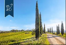 Luxurious agritourism resort with an olive grove and a view of the Crete Senesi for sale