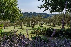 Elegant retreat in the Marche region