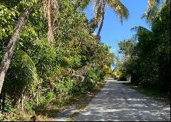 Lot 15, Block B, Section 1, Bahama Palm Shores