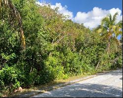 Lot 15, Block B, Section 1, Bahama Palm Shores