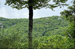 WAPITI RIDGE - BLOWING ROCK