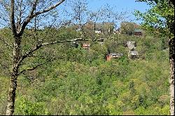 WAPITI RIDGE - BLOWING ROCK