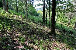 WAPITI RIDGE - BLOWING ROCK