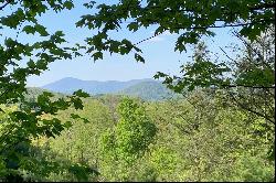 WAPITI RIDGE - BLOWING ROCK