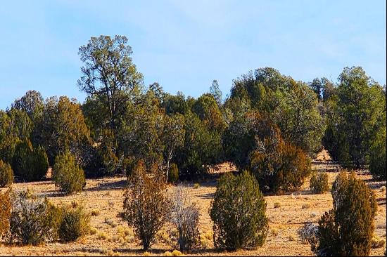 Antelope Valley Ranches