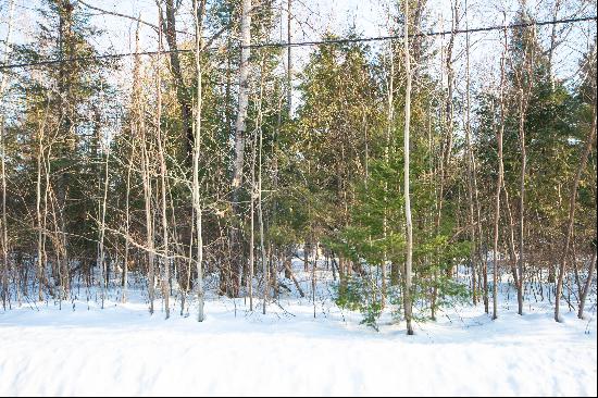 Building Lot In Tiny Township