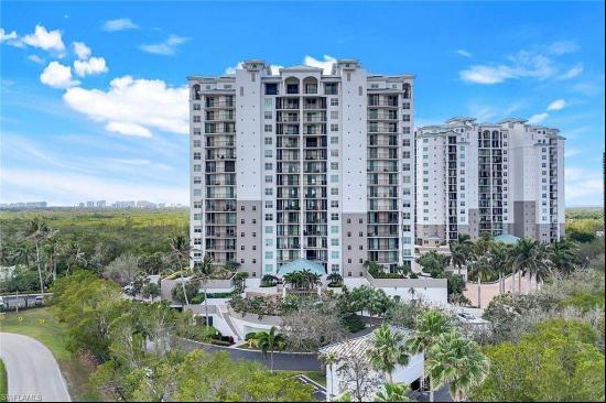 455 Cove Tower Dr, #703, Naples, FL, 34110, USA