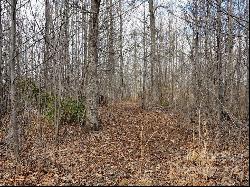 +/- 150 Acres Moondance Trail