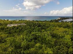 Land view Long Bay