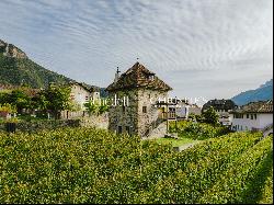 HISTORICAL VINEYARD IN SOUTH TYROL