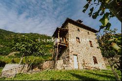 HISTORICAL VINEYARD IN SOUTH TYROL