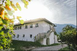 HISTORICAL VINEYARD IN SOUTH TYROL