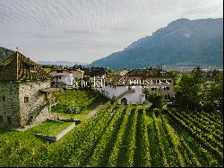 HISTORICAL VINEYARD IN SOUTH TYROL