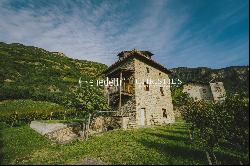 HISTORICAL VINEYARD IN SOUTH TYROL