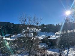 Terrain à batir - Megève