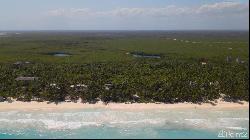 Tulum Hotel Zone Beachfront Land