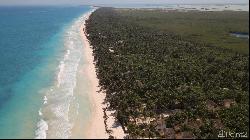 Tulum Hotel Zone Beachfront Land