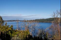 Lake Washington Panoramic View Gem